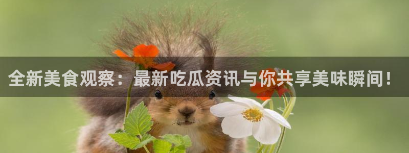娱乐吃瓜完整时间线