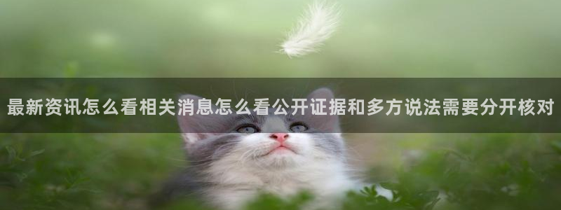 吃瓜今日更新