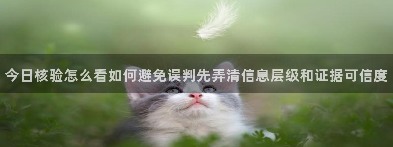 职场热点信息核验