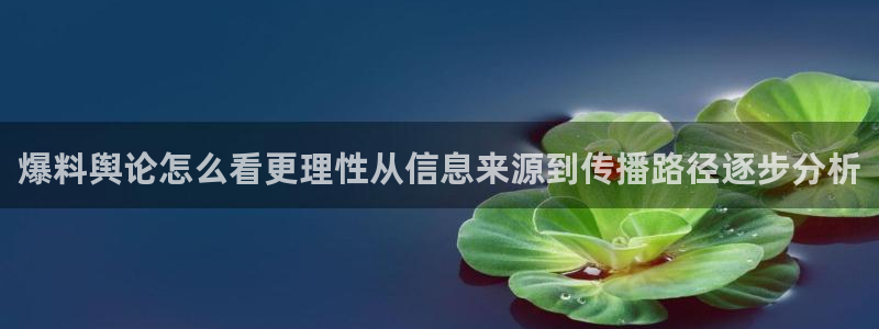 网红吃瓜公开回应