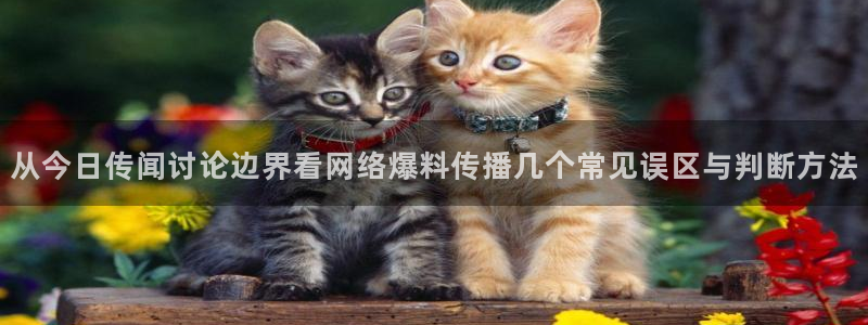 51吃瓜完整时间线