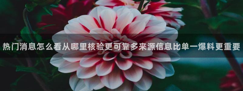 吃瓜真相今日更新